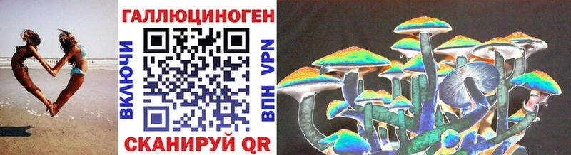 дарнет шоп  Буйнакск  Псилоцибиновые грибы MAGIC MUSHROOMS 