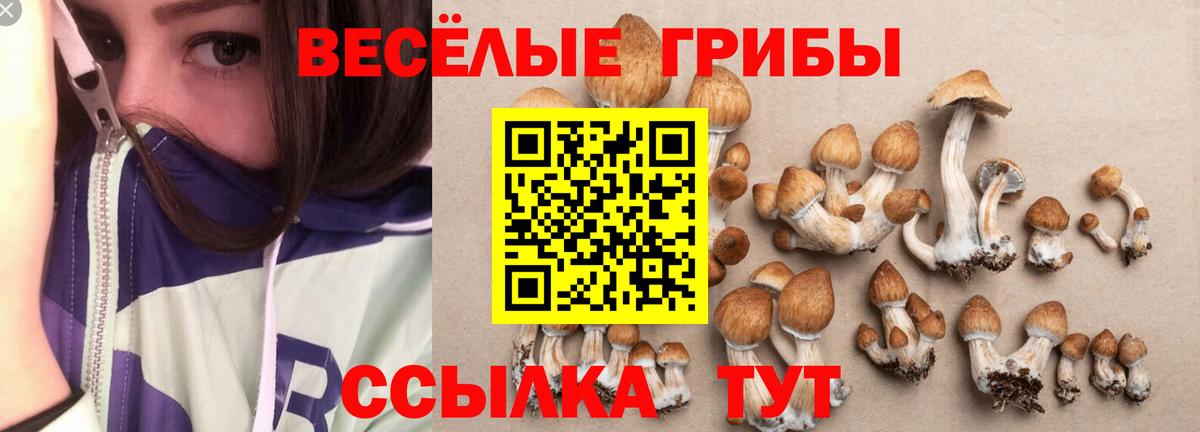 Псилоцибиновые грибы прущие грибы  Вход с VPN  Буйнакск 